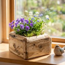 tételeket Cserepes növényláda fa virágcserép natúr 12×12×8,5cm