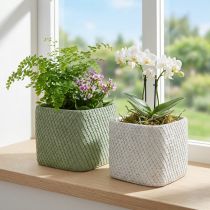 tételeket Ültetőkerámia fehér zöld reliefháló 17x17cm H15cm 2db