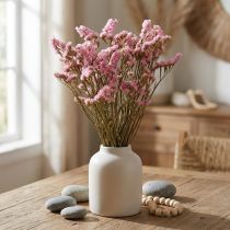 tételeket Strand Lila Pink Limonium Szárított Virágok 60cm 50g