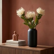 tételeket Tűpárna művirág egzotikus Protea Leucospermum krém 73cm 3db