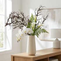 tételeket Dekoratív ágak, bonsai fa, díszágak 15-30cm 2500g
