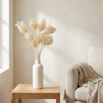 tételeket Szárított virágok krémes édeskömény fehérített 45cm-es csokor 10 db
