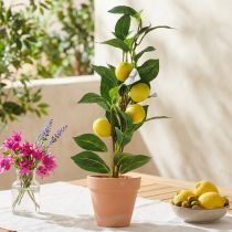 tételeket Citromfa cserépben, műnövény 42cm - Mediterrán dekorációs műfa