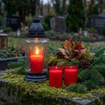 tételeket Utántöltő gyertyák sírlámpákhoz piros H6,5cm 22h 15db