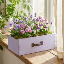 tételeket Ültető Dekoratív fiók Shabby Chic Wood Lila 25×13×8 cm