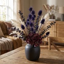 tételeket Vad teasel Szárított virágok Teasel Bogáncs Lila 55cm 10 fej