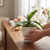 tételeket Orchidea levelek léggyökerekkel műbőrből 34x8x18cm