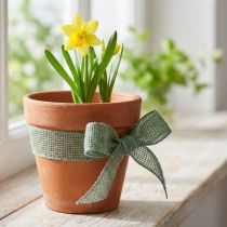 tételeket Juta szalag, hálós szalag, díszszalag, juta, zöld zsálya, 5 cm széles, 40 m hosszú