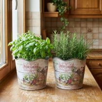 tételeket Gyógynövénycserép virágcserép műanyag Fresh Garden H13,5cm 2db