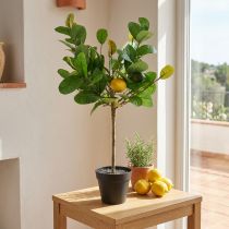 tételeket Műcitromfa cserépben, mediterrán hangulatú, könnyen gondozható műnövény, dekoratív citrusfa, 57 cm magas