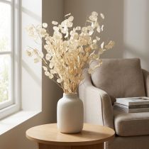 tételeket Lunaria Deco Moon Violet Silver Leaf Szárított 90cm 100g