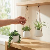 tételeket Függő kosarak pozsgások műzöld válogatott 18cm 3db