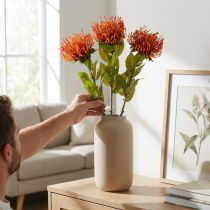 tételeket Tűpárna egzotikus művirág narancs Leucospermum Protea 73cm 3db