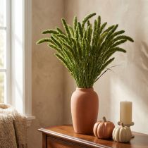 tételeket Szárított virágok, Setaria Pumila, sörtéjű köleszöld 75cm 200g