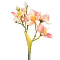 tételeket Dekoratív virágzó perui liliom ág időtlen kompozíciókhoz, 33 cm, 6 darab
