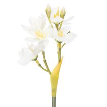 tételeket Nárciszág szezonális esküvői díszekhez, gyönyörű, 33 cm, 6 darab