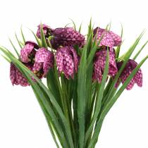 tételeket Sakktábla virágok Fritillaria műlila 29cm 6db