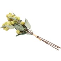 tételeket Kövér Tyúk Zöld Sedum Stonecrop Művirágok 41cm 3db