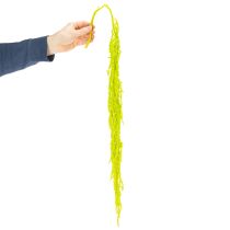 tételeket Rókafű szárított virágok, festettek, különleges lakberendezéshez és egyedi kiegészítőkhöz, 100 cm, 5 darab