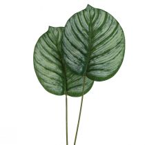 tételeket Calathea mesterséges kosár Marante mesterséges növények zöld 51cm