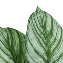 tételeket Calathea mesterséges kosár Marante mesterséges növények zöld 51cm