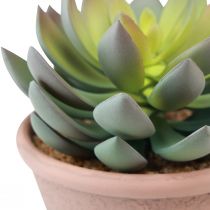 tételeket Zamatos növény cserépben Echeveria mesterséges zöld évjárat Ø15cm H16cm