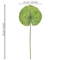 tételeket Galax Urceolata levelek mesterséges zöld Ø10cm L23cm 12 db