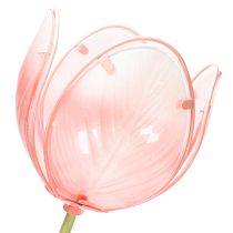 tételeket Kerti dísztulipán virágágyásokba és szegélyekbe 94 cm