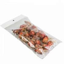 tételeket Növényi dekoráció mini cékla mesterséges Ø2,5cm H3,5cm 24 db