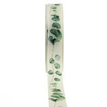 tételeket Ajándék szalag eukaliptusz dekor szalag zöld 25mm 20m