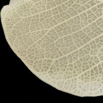 tételeket Szárított levelek dekoráció Moneta száraz virágkötő krém 100g