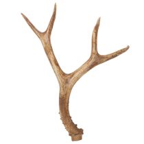 tételeket Műagacs, élethű, rusztikus, 32 cm