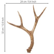 tételeket Műagacs, élethű, rusztikus, 32 cm