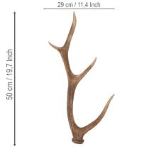 tételeket Dekoratív műagancs, rusztikus faház dekoráció, 50cm