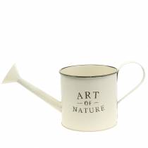 tételeket Vintage virágcserép/öntözőkanna, cink, krém, díszes tálca, Ø16.5cm