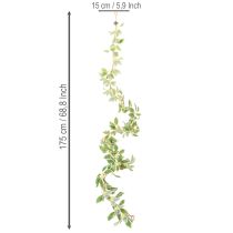 tételeket Műfüzér tarka levelekkel, 175 cm