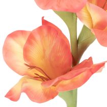 tételeket Műkardvirág sok virággal csokorba, 88 cm