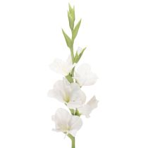 tételeket Műkardvirág, hosszú szárú, vázába, 88 cm