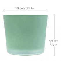 Üveg virágcserép zöld ültető üveg kád Ø10cm H8,5cm