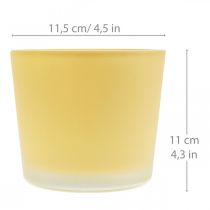 Üveg virágcserép sárga dekoratív üveg kád Ø11,5cm H11cm