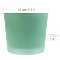 Üveg virágcserép zöld ültető üveg kád Ø14,5cm H12,5cm
