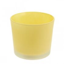 Üveg virágcserép sárga cserepes üveg kád Ø14,5cm H12,5cm