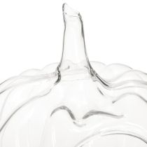 tételeket Üvegtök nyílással, őszi dekorációs tök, átlátszó, Ø21 cm, M20 cm