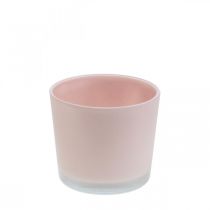 Virágcserepes üveg ültető rózsaszín üveg kád Ø10cm H8,5cm