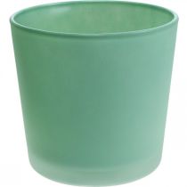 Üveg virágcserép zöld ültető üveg kád Ø11,5cm H11cm