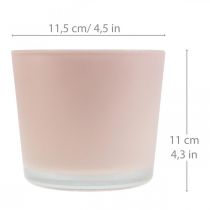 Virágcserepes üveg ültető rózsaszín üveg kád Ø11,5cm H11cm