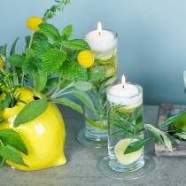 tételeket Üvegváza talppal, átlátszó, Ø6cm, M25cm