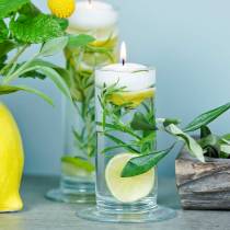 tételeket Üvegváza talppal, átlátszó, Ø6cm, M20cm