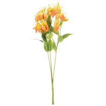 tételeket Művirág Gloriosa narancs hosszú szárral vázába 80cm 3db