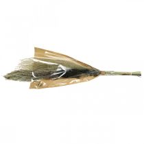 tételeket Szárított fű csokorban Száraz florisztika Száraz csokor H70cm